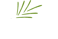 Fern Tree Resort